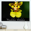 Buchcover Wunderbare Orchideen (Premium, hochwertiger DIN A2 Wandkalender 2023, Kunstdruck in Hochglanz)