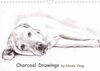 Buchcover Charcoal Drawings (Wandkalender 2023 DIN A4 quer)