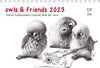 owls & friends 2023 (Tischkalender 2023 DIN A5 quer) width=
