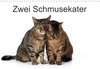 Buchcover Zwei Schmusekater (Wandkalender 2023 DIN A3 quer)