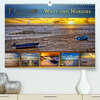 Buchcover Friesland - Watt und Nordsee (Premium, hochwertiger DIN A2 Wandkalender 2023, Kunstdruck in Hochglanz)