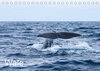 Buchcover Wale (Tischkalender 2023 DIN A5 quer)