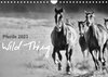 Buchcover Pferde 2023 Wild Thing (Wandkalender 2023 DIN A4 quer)