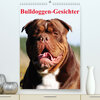 Buchcover Bulldoggen-Gesichter (Premium, hochwertiger DIN A2 Wandkalender 2023, Kunstdruck in Hochglanz)