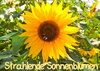 Buchcover Strahlende Sonnenblumen / CH - Version (Wandkalender 2023 DIN A4 quer)