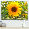 Buchcover Strahlende Sonnenblumen / CH - Version (Premium, hochwertiger DIN A2 Wandkalender 2023, Kunstdruck in Hochglanz)