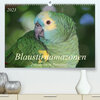 Buchcover Blaustirnamazonen - Papageien in Paraguay (Premium, hochwertiger DIN A2 Wandkalender 2023, Kunstdruck in Hochglanz)
