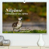 Buchcover Nilgänse - Einwanderer aus Afrika (Premium, hochwertiger DIN A2 Wandkalender 2023, Kunstdruck in Hochglanz)