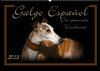 Buchcover Galgo Español 2023- Der spanische Windhund (Wandkalender 2023 DIN A2 quer)