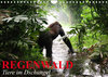 Buchcover Regenwald • Tiere im Dschungel (Wandkalender 2023 DIN A4 quer)