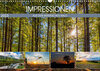 Buchcover Impressionen aus dem Bayerischen Wald (Wandkalender 2023 DIN A3 quer)
