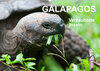 Buchcover Galapagos. Verzauberte Inseln (Wandkalender 2023 DIN A2 quer)