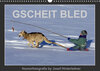 Buchcover GSCHEIT BLED - Humorfotografie (Wandkalender 2023 DIN A3 quer)