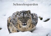 Buchcover Schneeleoparden (Wandkalender 2023 DIN A4 quer)