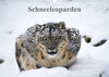 Buchcover Schneeleoparden (Wandkalender 2023 DIN A3 quer)