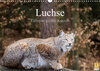 Buchcover Luchse - Europas größte Katzen (Wandkalender 2023 DIN A3 quer)