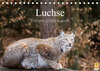 Buchcover Luchse - Europas größte Katzen (Tischkalender 2023 DIN A5 quer)