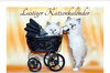 Buchcover Lustiger Katzenkalender (Wandkalender 2023 DIN A2 quer)