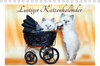 Buchcover Lustiger Katzenkalender (Tischkalender 2023 DIN A5 quer)