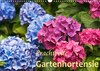 Buchcover Prachtvolle Gartenhortensie (Wandkalender 2023 DIN A3 quer)