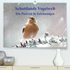 Buchcover Schottlands Vogelwelt - Ein Porträt in Zeichnungen (Premium, hochwertiger DIN A2 Wandkalender 2023, Kunstdruck in Hochgl