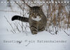 Buchcover Haustiger - Ein Katzenkalender (Tischkalender 2023 DIN A5 quer)