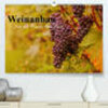 Buchcover Weinanbau. Von der Traube zum Wein (Premium, hochwertiger DIN A2 Wandkalender 2023, Kunstdruck in Hochglanz)