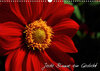 Buchcover Jede Blume ein Gedicht (Wandkalender 2023 DIN A3 quer)