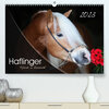Buchcover Haflinger-Pferde in Reinzucht (Premium, hochwertiger DIN A2 Wandkalender 2023, Kunstdruck in Hochglanz)
