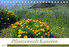 Buchcover Pflanzenwelt Kanaren (Tischkalender 2023 DIN A5 quer)