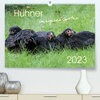 Buchcover Hühner im eigenen Garten (Premium, hochwertiger DIN A2 Wandkalender 2023, Kunstdruck in Hochglanz)
