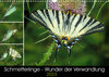 Buchcover Schmetterlinge - Wunder der Verwandlung (Wandkalender 2023 DIN A3 quer)