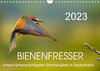 Buchcover Bienenfresser, unsere farbenprächtigsten Sommergäste in Deutschland (Wandkalender 2023 DIN A4 quer)