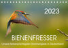 Buchcover Bienenfresser, unsere farbenprächtigsten Sommergäste in Deutschland (Tischkalender 2023 DIN A5 quer)