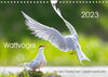Buchcover Wattvögel an der Friesischen IJsselmeerküste (Wandkalender 2023 DIN A4 quer)