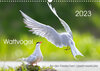 Buchcover Wattvögel an der Friesischen IJsselmeerküste (Wandkalender 2023 DIN A3 quer)