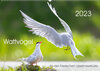 Buchcover Wattvögel an der Friesischen IJsselmeerküste (Wandkalender 2023 DIN A2 quer)