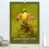 Buchcover Singvögel USA (Premium, hochwertiger DIN A2 Wandkalender 2023, Kunstdruck in Hochglanz)