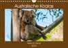 Buchcover Australische Koalas (Wandkalender 2023 DIN A4 quer)