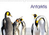 Buchcover Antarktis - viaje.ch (Wandkalender 2023 DIN A4 quer)