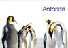 Buchcover Antarktis - viaje.ch (Wandkalender 2023 DIN A3 quer)