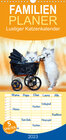 Buchcover Familienplaner Lustiger Katzenkalender (Wandkalender 2023 , 21 cm x 45 cm, hoch)