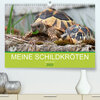 Buchcover Meine Schildkröten (Premium, hochwertiger DIN A2 Wandkalender 2023, Kunstdruck in Hochglanz)