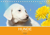 Buchcover HUNDE LEBEN IST BUNT (Tischkalender 2023 DIN A5 quer)