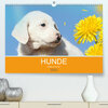 Buchcover HUNDE LEBEN IST BUNT (Premium, hochwertiger DIN A2 Wandkalender 2023, Kunstdruck in Hochglanz)