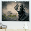 Buchcover Jagdhunde im Portrait (Premium, hochwertiger DIN A2 Wandkalender 2023, Kunstdruck in Hochglanz)