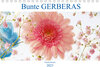 Buchcover Bunte Gerberas (Tischkalender 2023 DIN A5 quer)
