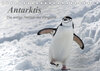 Buchcover Antarktis, die eisige Heimat der Pinguine (Tischkalender 2023 DIN A5 quer)