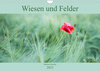 Buchcover Wiesen und Felder (Wandkalender 2023 DIN A4 quer)