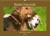 Buchcover Beste Freunde - Spielende Hunde (Wandkalender 2023 DIN A2 quer)